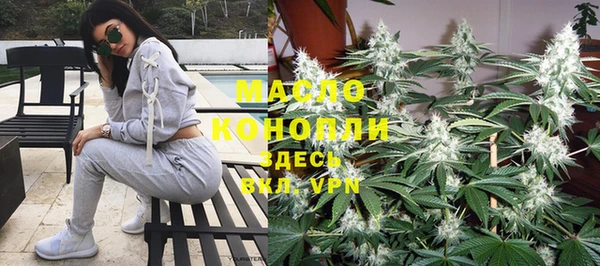 прущие грибы Инсар