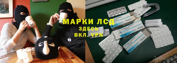 прущие грибы Инсар