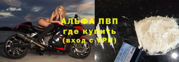 прущие грибы Инсар